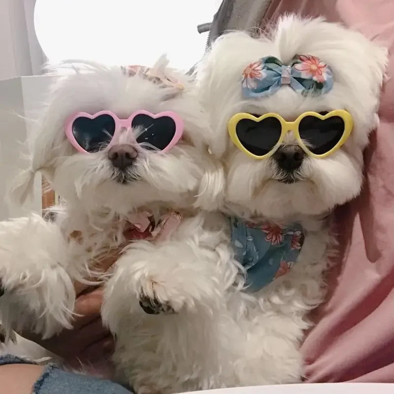 Lunettes de soleil pour chien et chat, en forme de cœur, avec nœuds, jolies lunettes de soleil pour animaux de compagnie, chiens, chats, yorkshire, peluche, accessoires de décoration pour photos