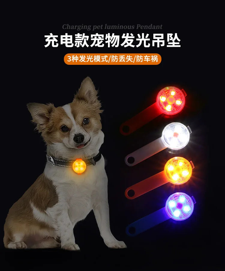 LED Pet Dog Cat Collar Pendant Night Safety Cat Luminous Light IPX7 Waterproof Flashing Harness With Light for Dog Accessories