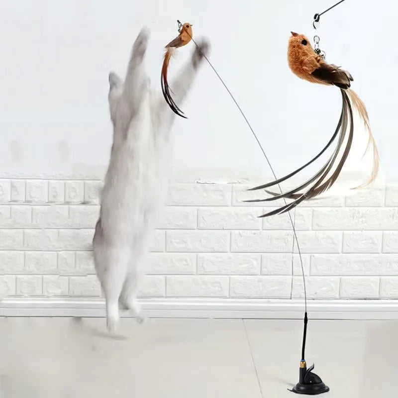 Suction Cup Cat Stick, Fixed Steel Wire, Long Pole, Feather Bird, Funny Cat Stick, Cat Toy, Self-Pleasure and Boredom Relief Art