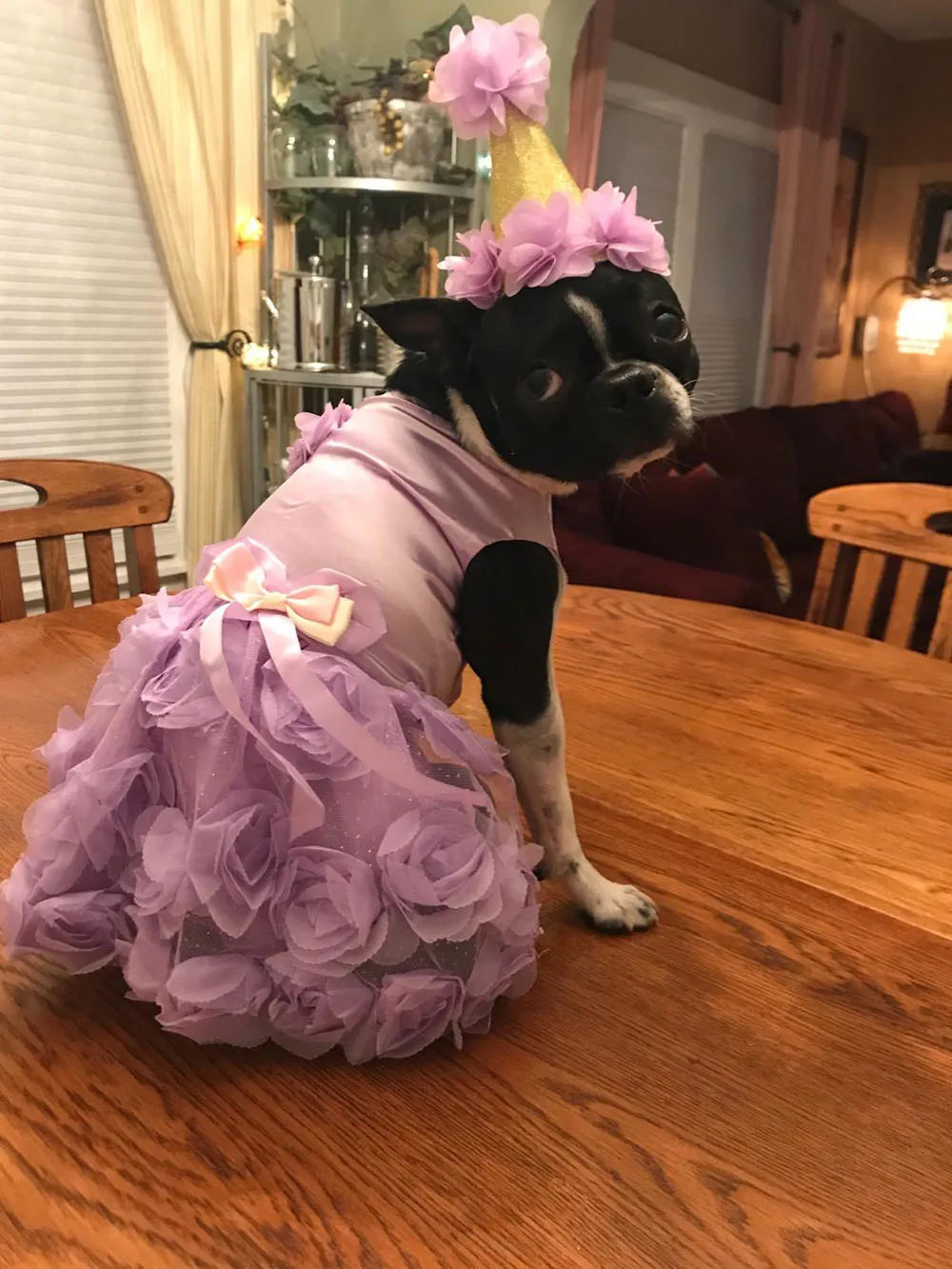 Pet Small Dog Wedding Dress with Bowknot Birthday Party Costume Satin Rose Pearls Girl Formal Dress for Puppy Dog Cat Tutu Dress