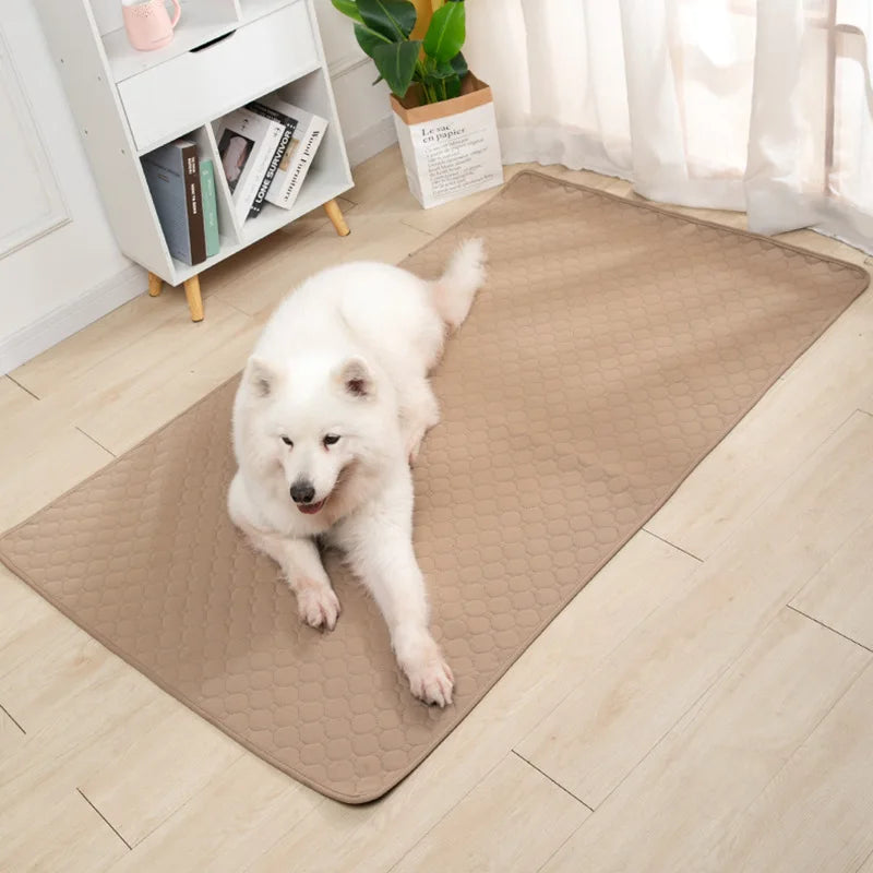 Dog Pee Pad Blanket Reusable Highly Absorbent Diaper Washable Puppy Training Pad Pet Bed Urine Mat for Pet Car Seat Cover