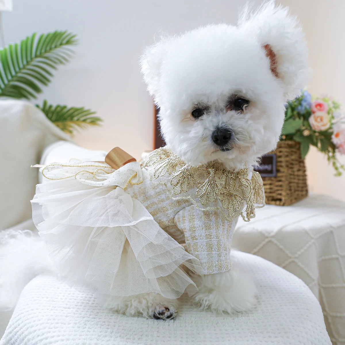 1PC Pet Clothing Spring and Autumn Dream Starry Wedding Dress Princess Dress Suitable for Small and Medium sized Dogs