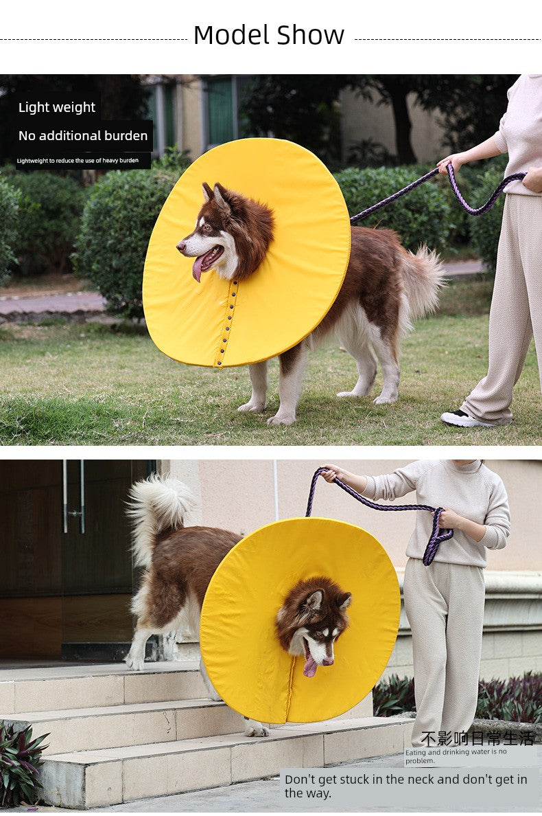 Large Dog Anti-Licking Collar