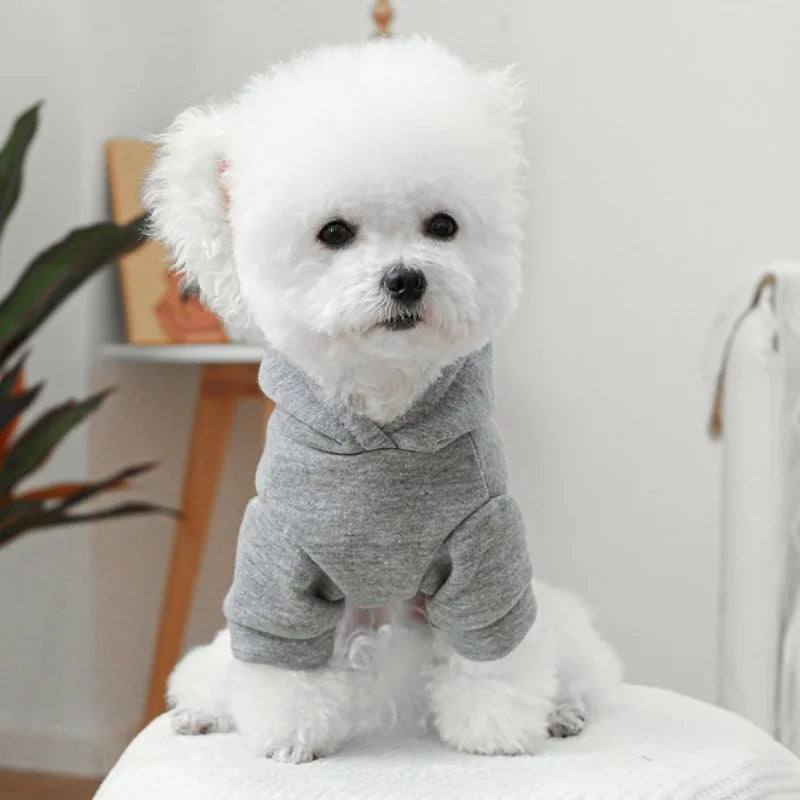 Pet Dog Clothes for Small Medium Dogs Winter Warm Dog Hoodie Letter Print Puppy Pullover Pet Sweatshirt Bichon Frise Dog Clothes