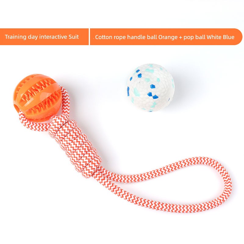 Interactive Dog with Tetherball Pet Supplies