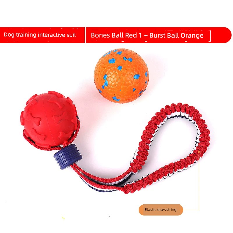 Interactive Dog with Tetherball Pet Supplies