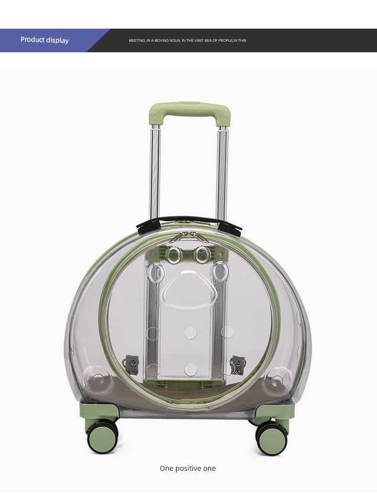 Trolley Case Portable Panoramic Transparent Backpack Cat