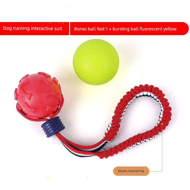 Interactive Dog with Tetherball Pet Supplies