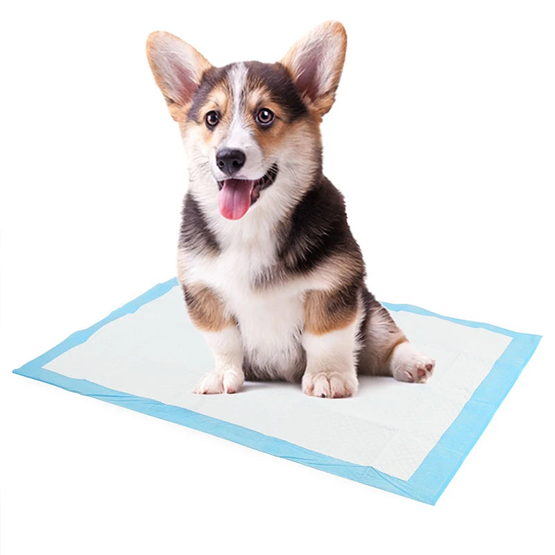 1PC Dog Training Pee Pads Super Absorbent Pet Diaper Disposable Healthy Clean Nappy Mat for Pets Dairy Diaper Supplies