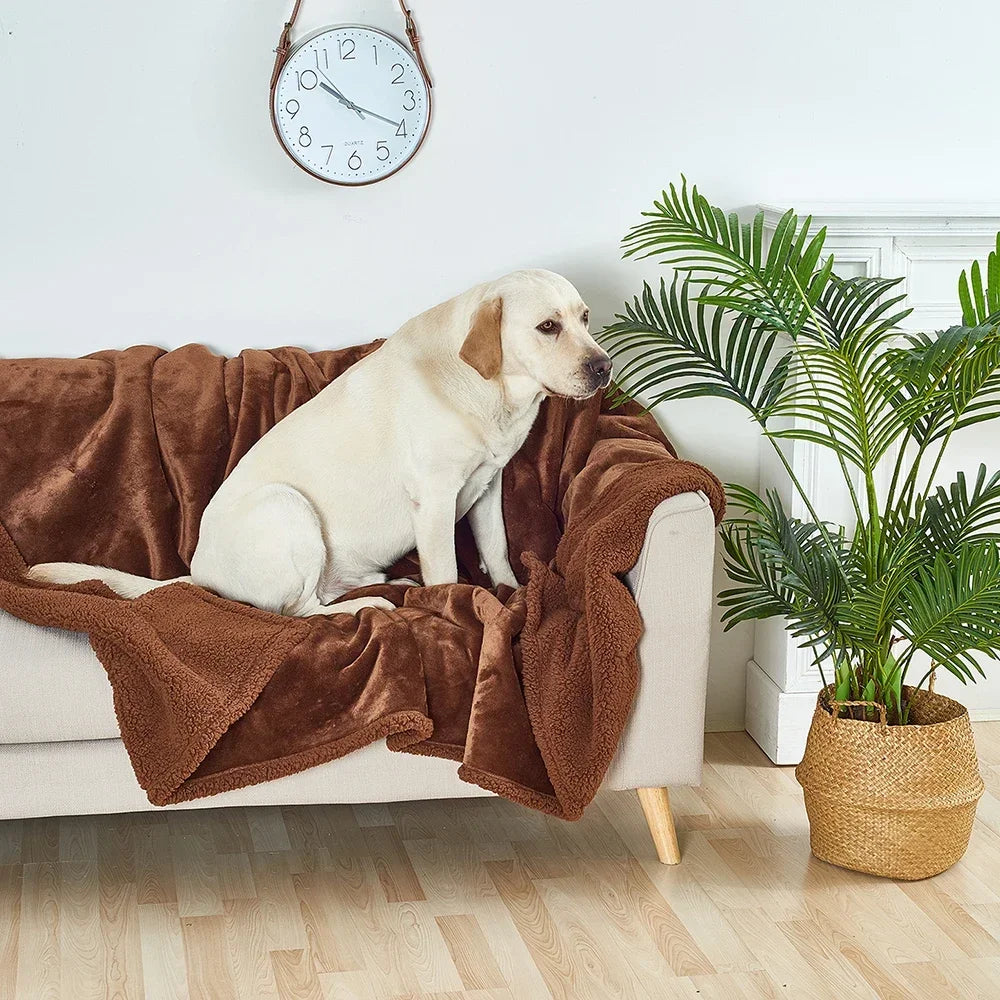 Sofa Bed Blanket Double Sided Sherpa Wool Furniture Protector Waterproof Pet Blanket Liquid Urine Resistant Dog