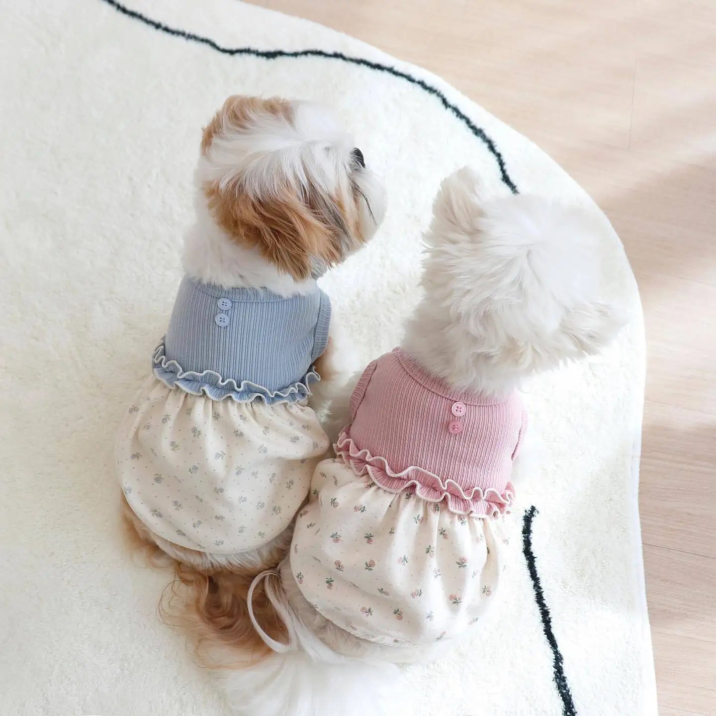 New Winter INS Small Scarf Floral Bubble Skirt Vest Dog Cat Home Clothes Pet Clothes Scarves Dog Clothes Designer Floral Lace