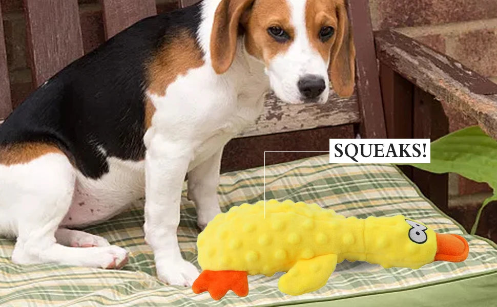 Squeaky Dog Toys Soft Duck Crinkle Plush Dog Chew Toys for Chewers Durable Interactive Dog Toys for Puppy Medium and Large Dogs