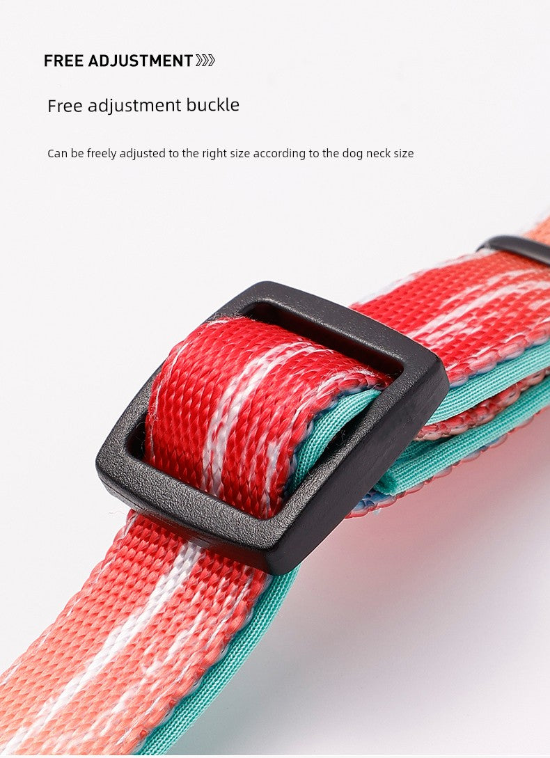 Multi-Collar Cover for Dogs