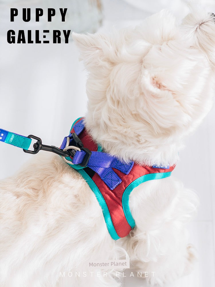 Contrast Color Chest and Back Tow Rope Collar Dog