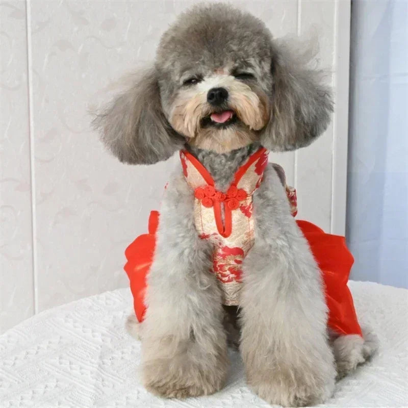 Chinese Style Dog Cheongsam Dress New Year Pet Clothes Tang Suit Puppy Small Dog Costume Dresses Princess Skirt Dog Clothing Xs