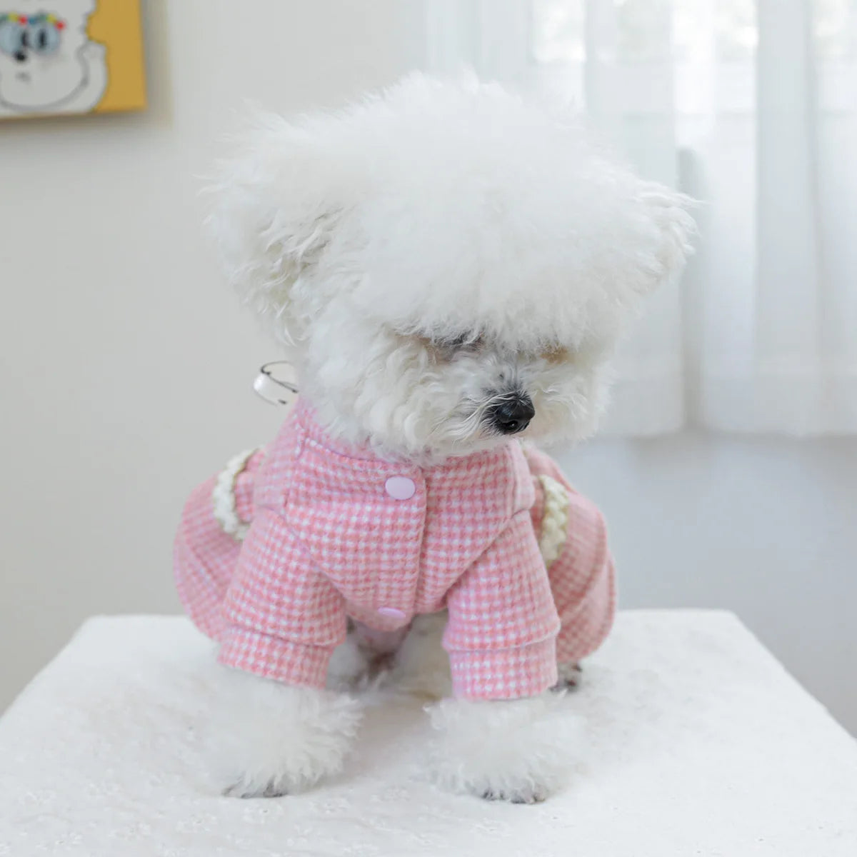 1PC Pet Clothing Dog Cat Autumn/Winter Thick Pink Sweetheart Princess Dress Suitable for Small and Medium sized Dogs