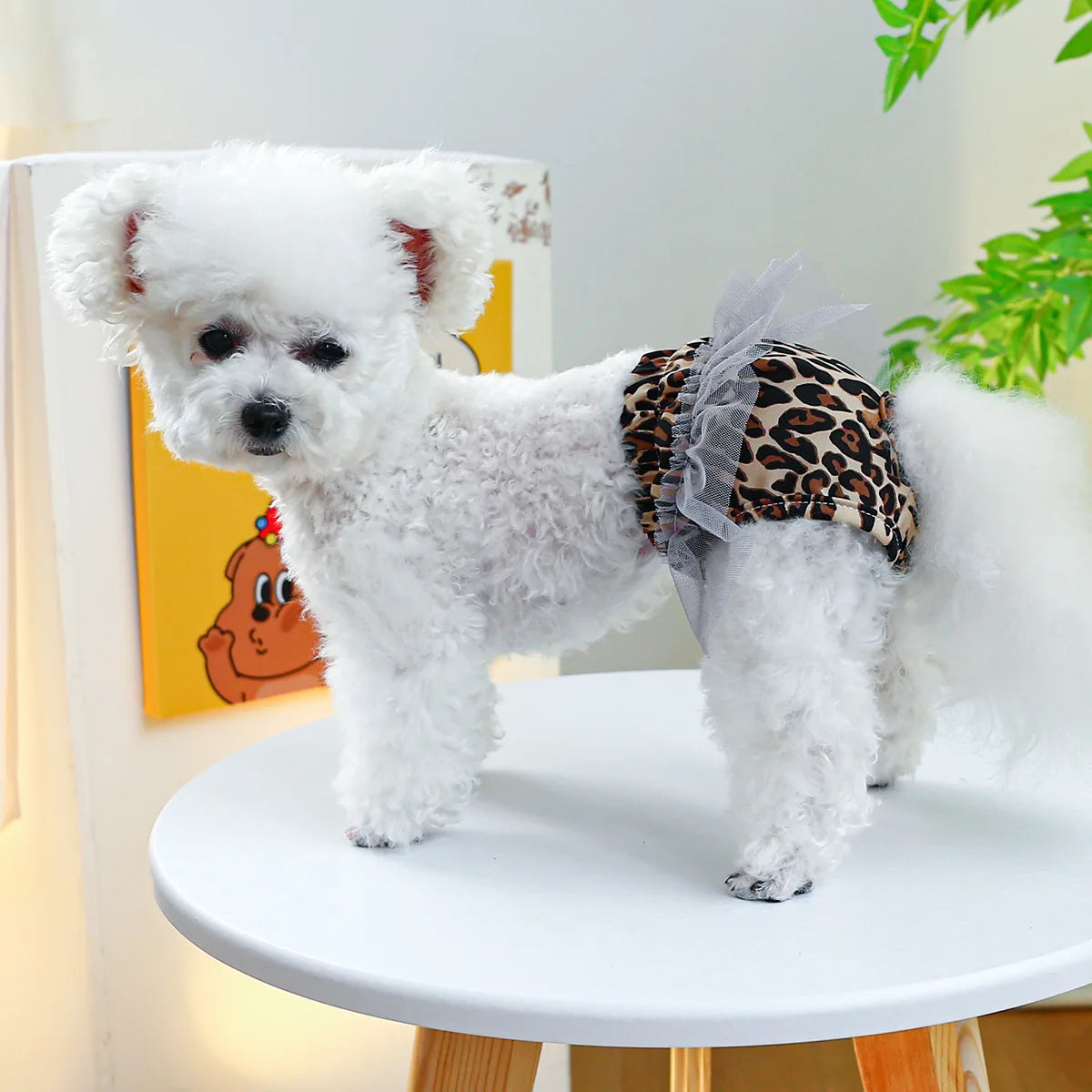 Lace Panties For Female Dogs Cotton Leopard Pet Girl Small Medium Puppies Animal Cat Washable Dog Diaper Sabananel Costumes Pugs