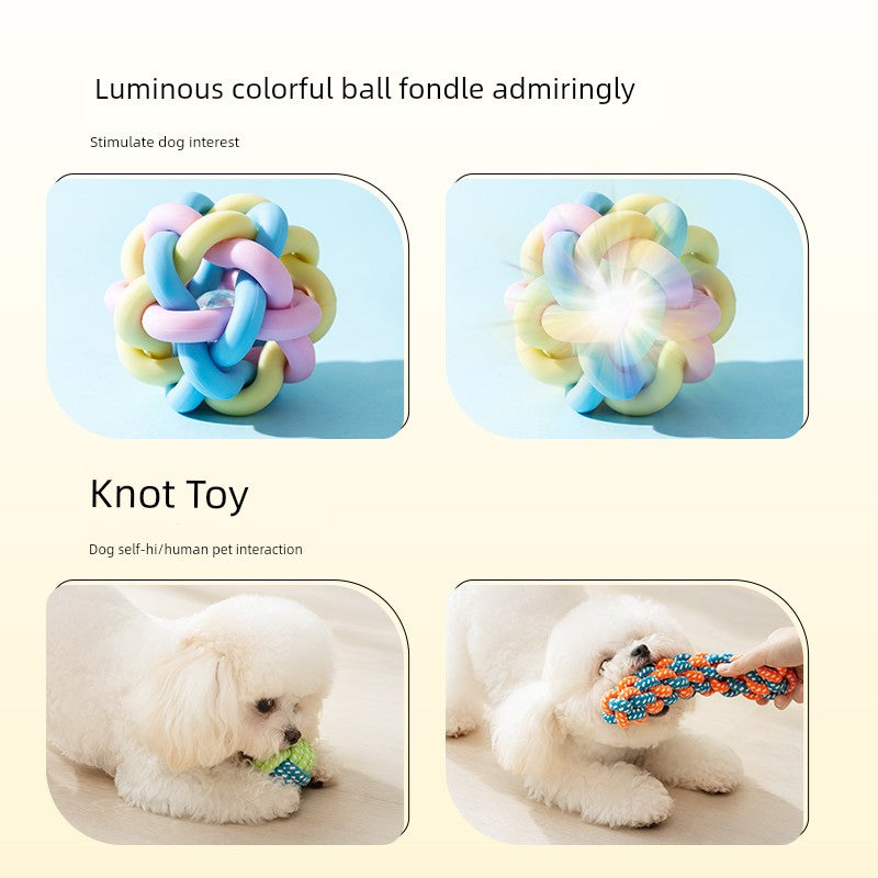 Zihi Relieving Boredom Handy Gadget Toy Bichon Small Dog