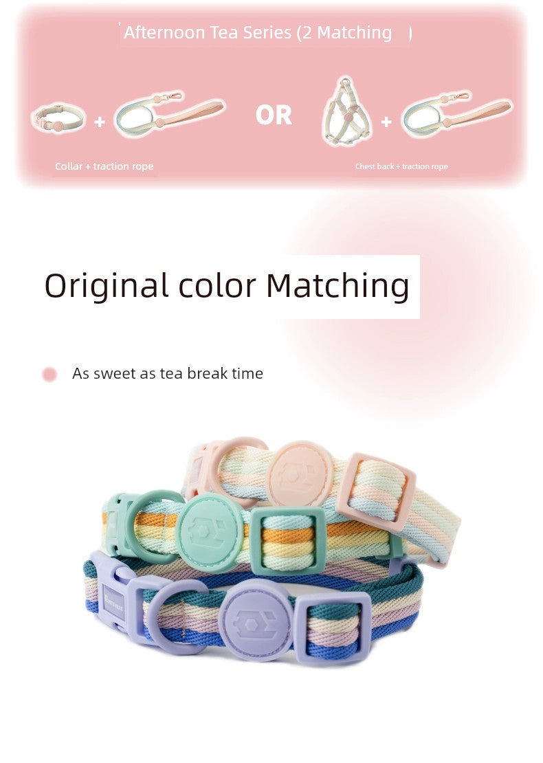 Afternoon Tea Magic Color Contrast Color Collar Dog Hand Holding Rope