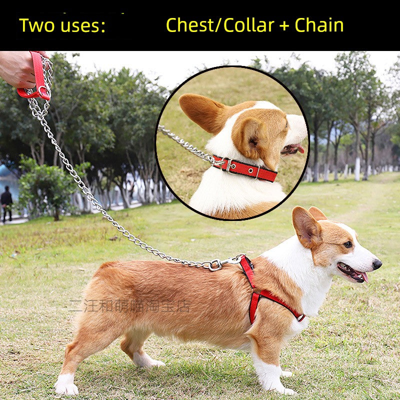 Anti-Bite Teddy Dog Leash Large Collar Iron Chain