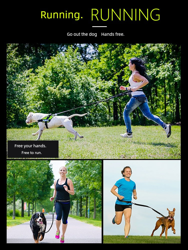 Running Dog Leash Belt for Walking Dogs