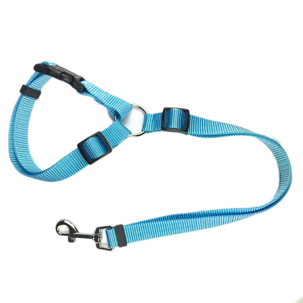 Pet Dog Car Seat Belt Retractable Buffer Elastic Reflective Safety Traction Rope Dog Leash Harness Dogs Dog Accessories Supplies