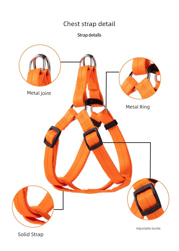 Harness and Leash for Small to Medium Sized Dogs