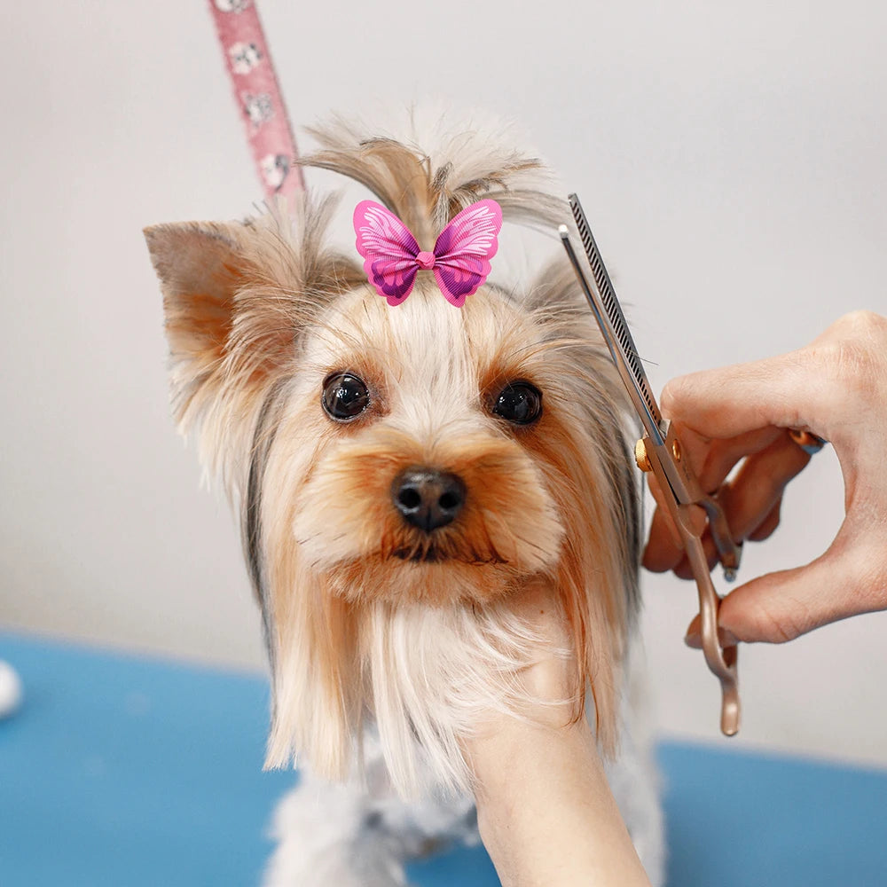 50/100/200 piezas de accesorios para el pelo de perros, lindos lazos para el pelo con forma de mariposa, para gatos y perros, con bandas de goma, lazos para el cuidado de perros para mascotas pequeñas