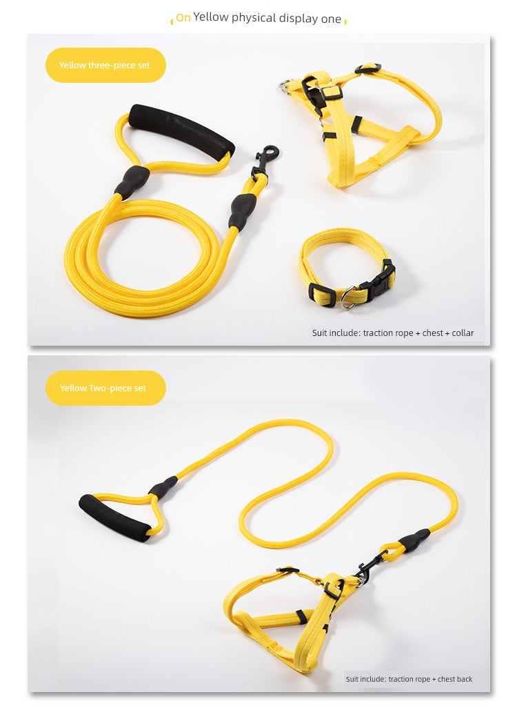 Harness and Leash for Small to Medium Sized Dogs