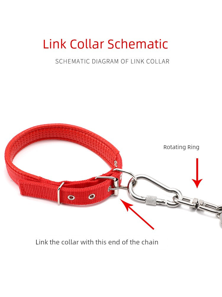 Collar Border Collie Anti-Bite Iron Chain Dog Hand Holding Rope