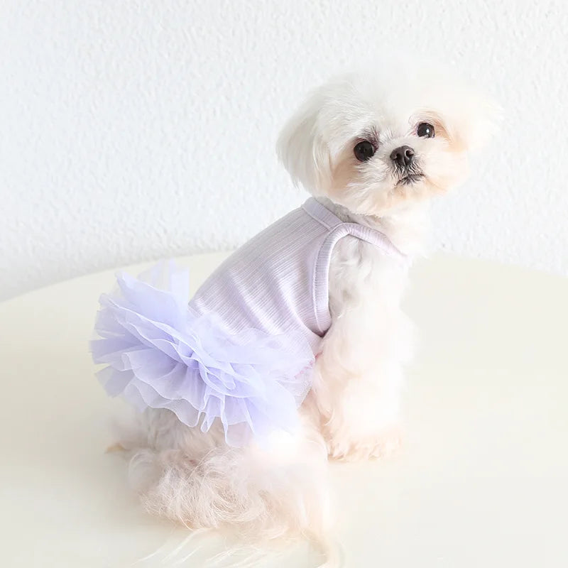 Cute Princess Dress for Pets, Cotton Clothes, Comfortable and Soft Dresses for Lovely Dogs, Sizes XS-XL, Summer