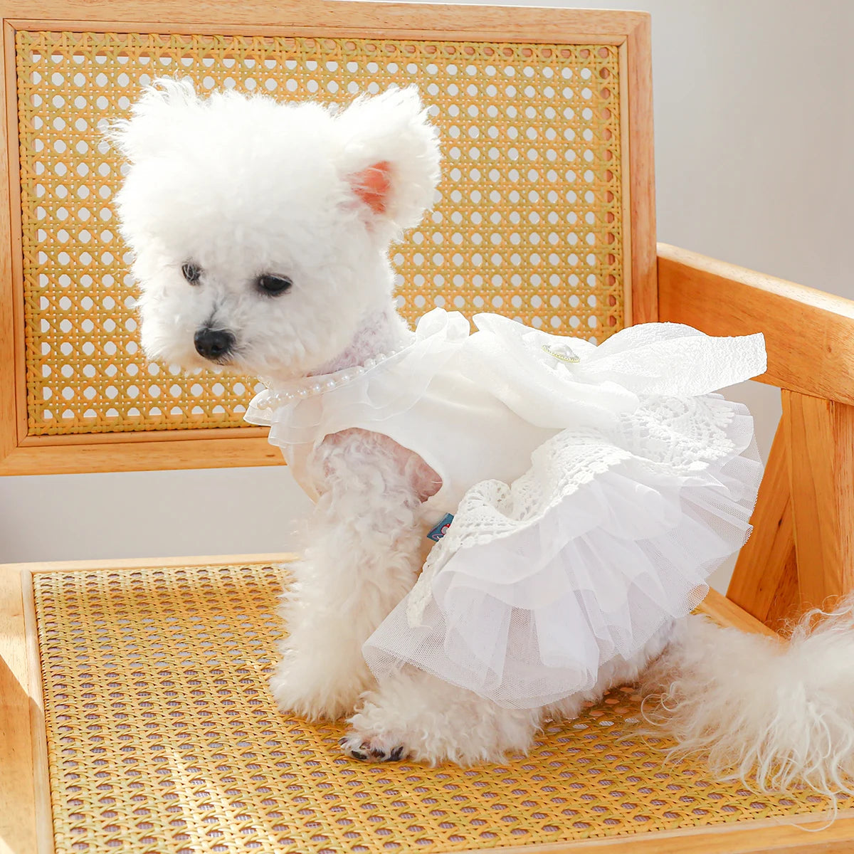 1PC Pet Clothing Spring/Summer Thin White Princess Wedding Dress Princess Dress Suitable for Small and Medium sized Dogs