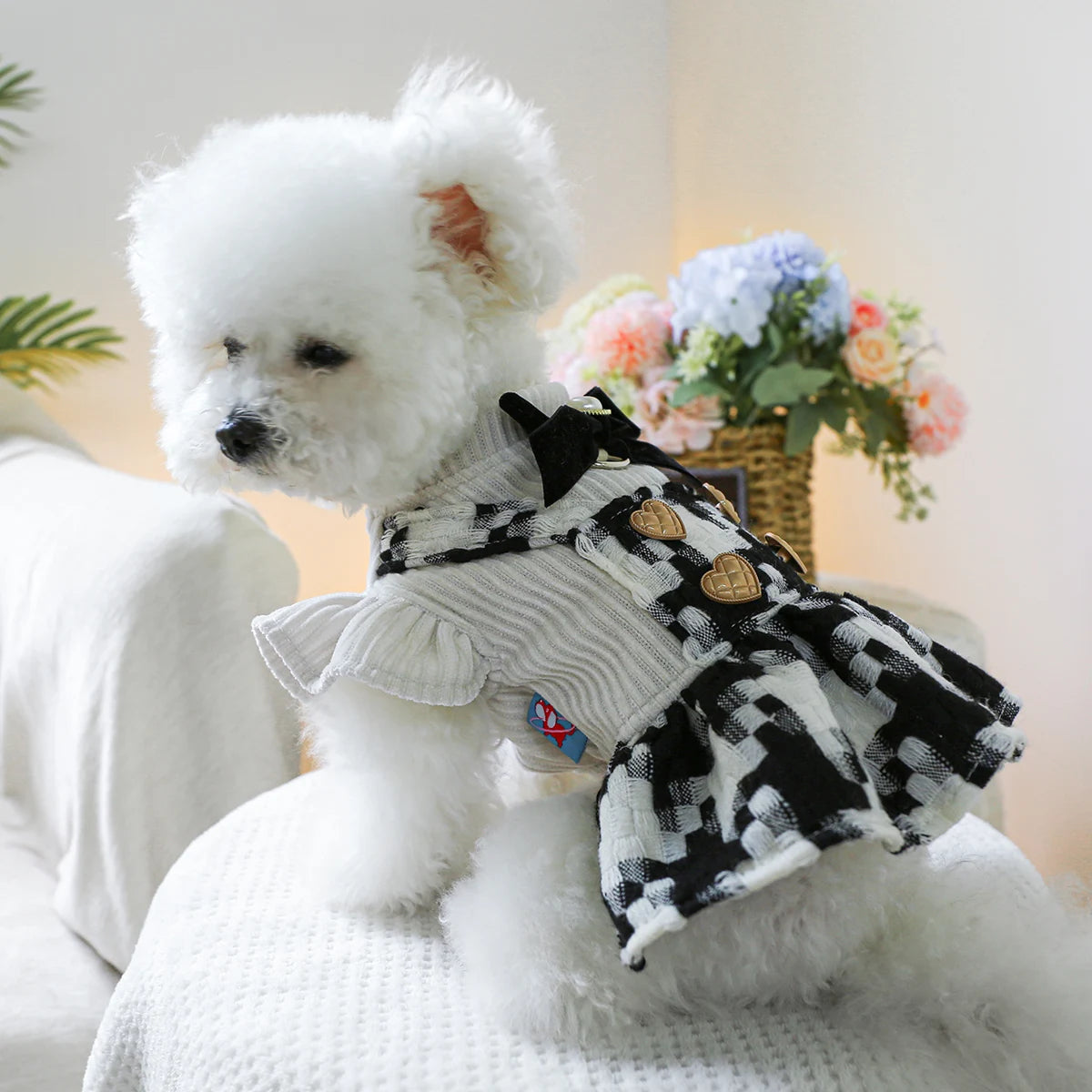 1PC pet clothing autumn and winter thick black and white bow princess skirt for small and medium-sized dogs