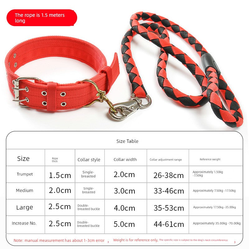 Medium-Sized Dog Hand Holding Rope