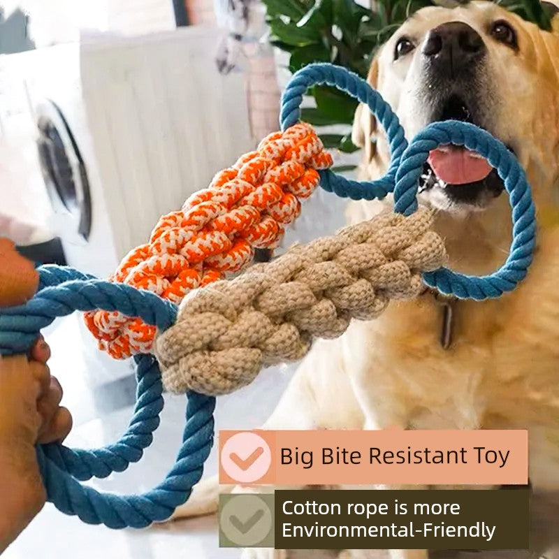 Rubber Ring Interactive Dog Toy