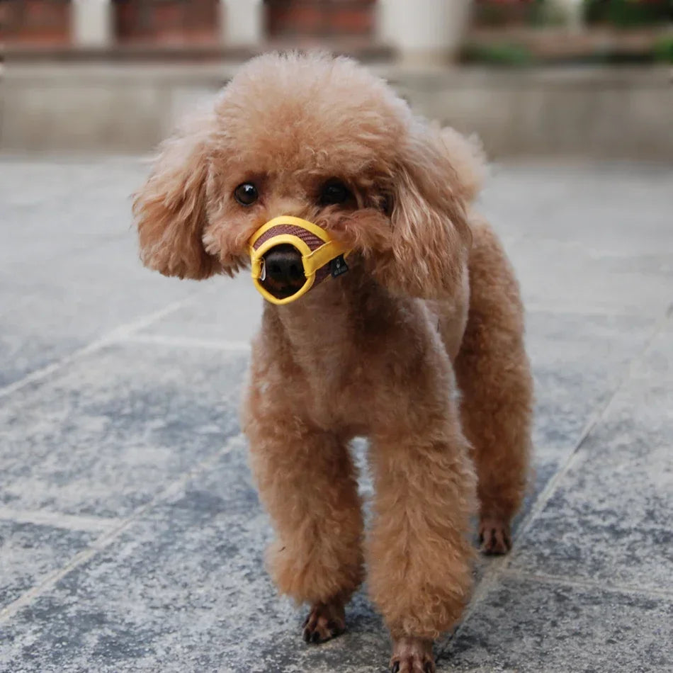 Dog Muzzle Puppy Small Medium Large Dog Anti Barking Muzzle Pet Mouth Muzzles for Dogs Nylon Straps Dog Accessories