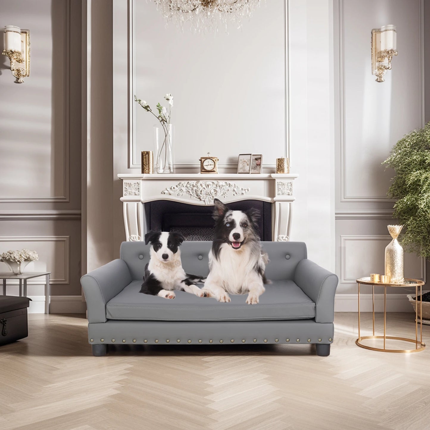 Comfortable Dog Couch, Modern and Stylish Dog Sofa