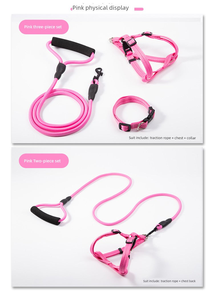 Harness and Leash for Small to Medium Sized Dogs