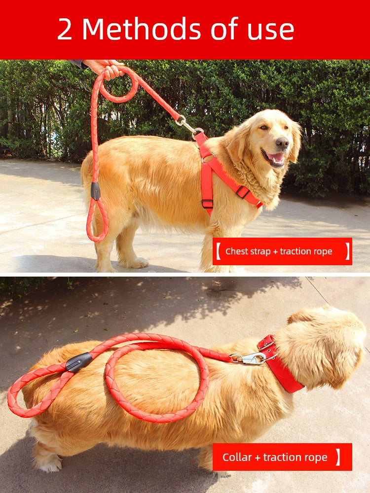 Teddy Large Collar Pet Supplies Dog Hand Holding Rope