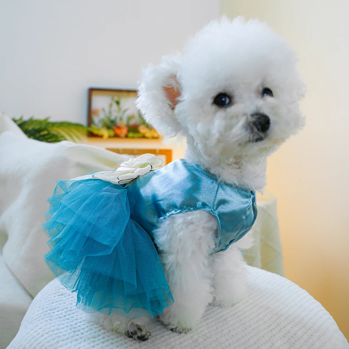 1PC Pet Clothing Cat Spring/Summer Blue Tank Top Bow Princess Dress Traction Buckle Suitable for Small and Medium sized Dogs