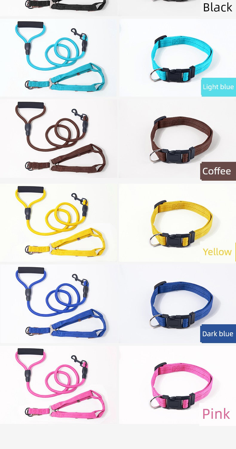 Large Puppy Collar Teddy Dog Hand Holding Rope