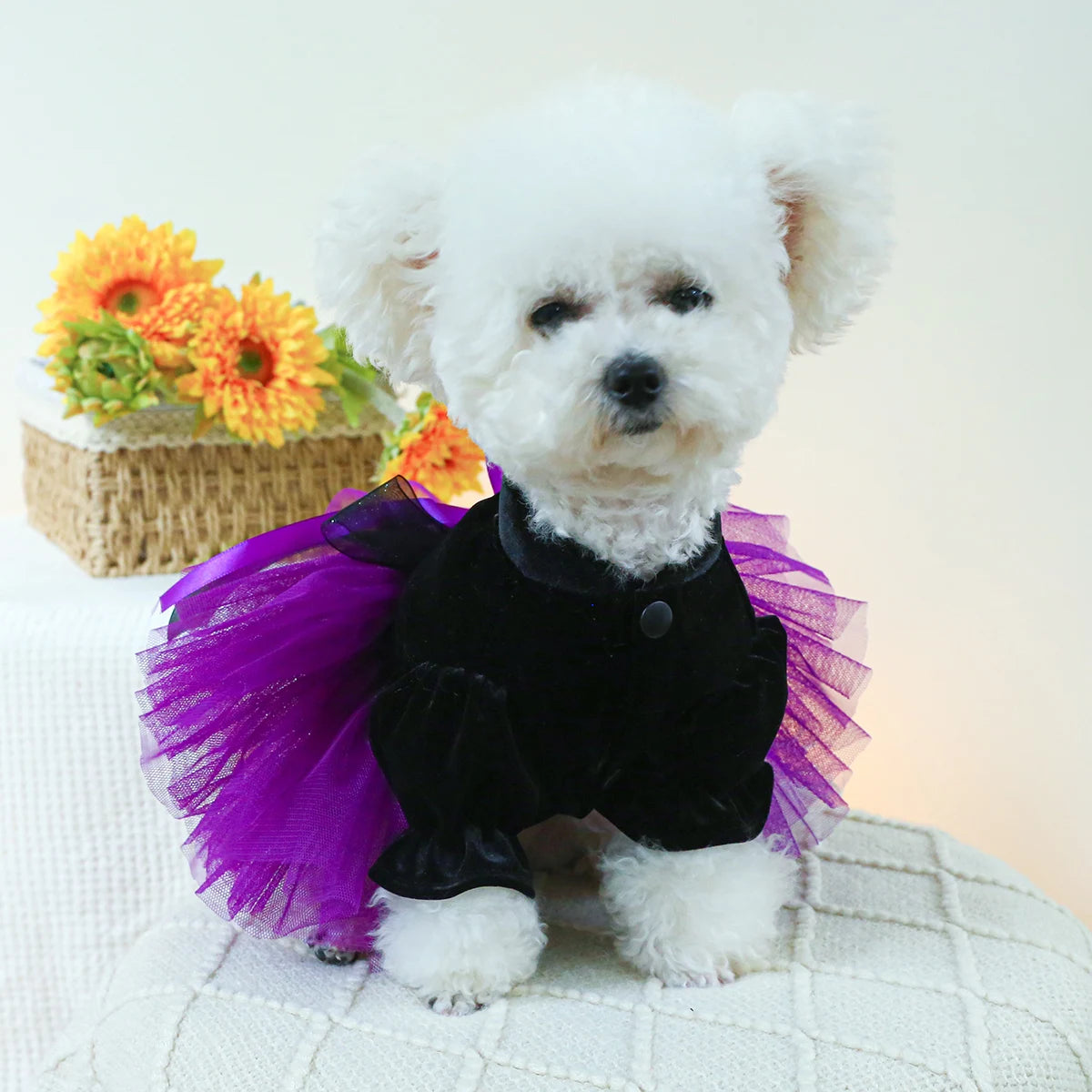 1PC Pet Clothing Dog Autumn Winter Black Velvet Purple Princess Wedding Dress Dress With Drawstring Buckle For Small Medium Dogs