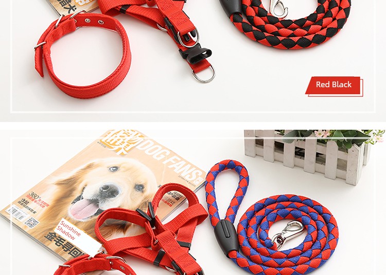 Teddy Large Collar Pet Supplies Dog Hand Holding Rope