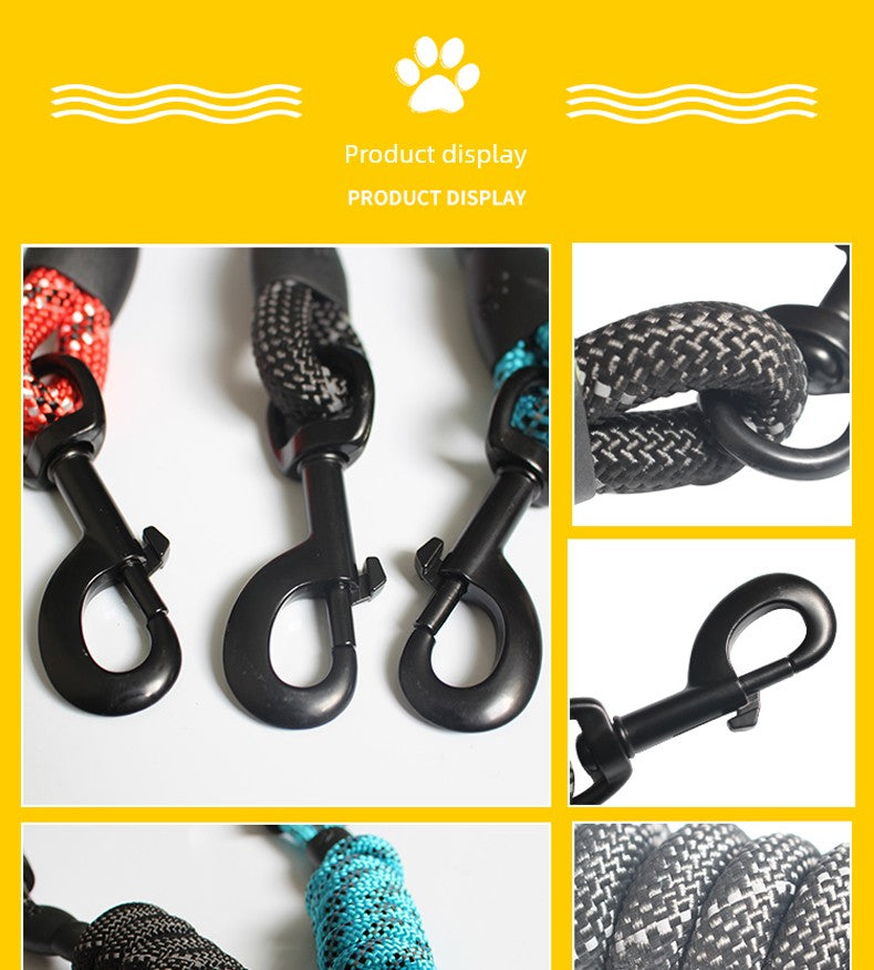 Long Leash and Collar for Large Dogs