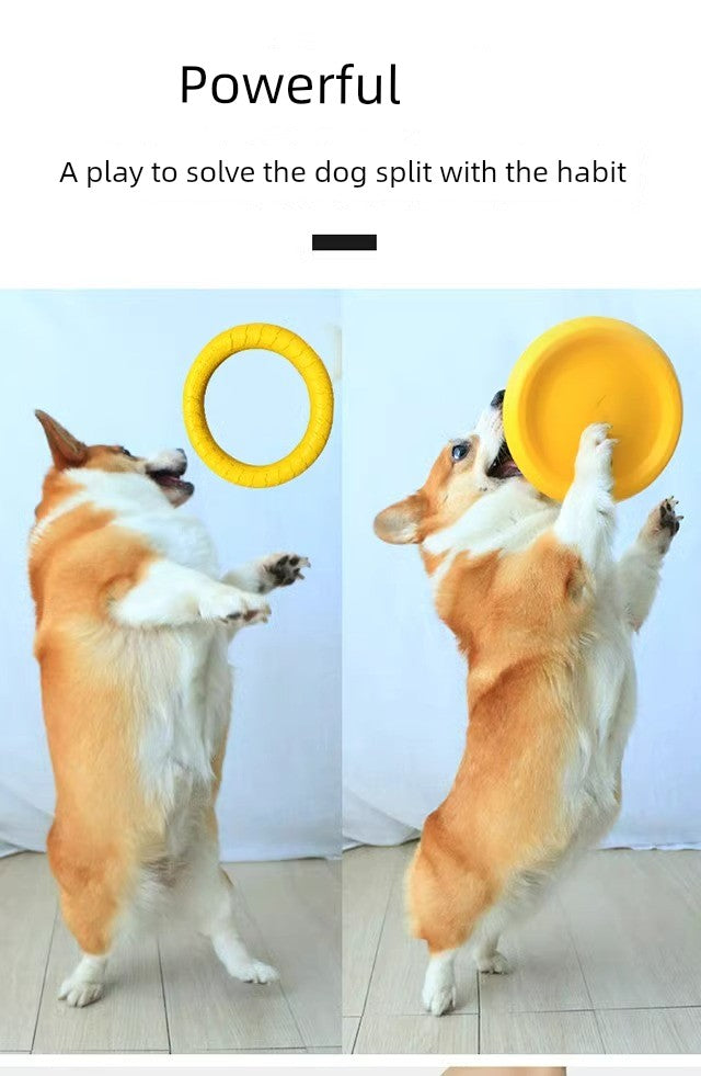 Ring Toy Border Training Dog