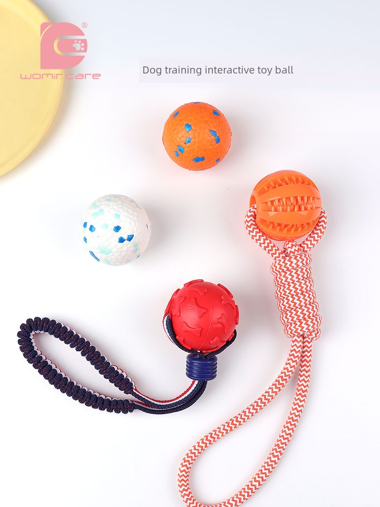 Interactive Dog with Tetherball Pet Supplies