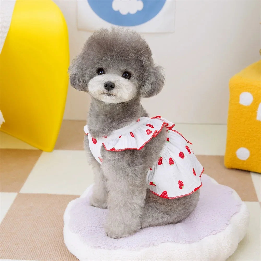 Strawberry Pattern Summer Dress for Dog Pet Clothing Dog Suspender Skirt Cats Puppy Cute Dog Costume Supplies