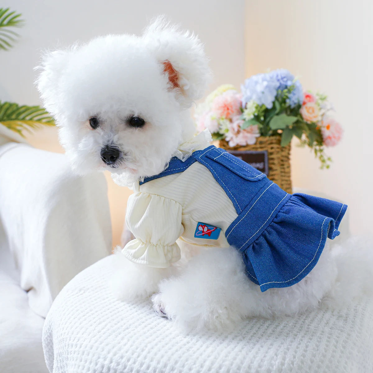 1PC Pet Clothing Spring and Autumn Heartbeat Cowboy Princess Skirt Suitable for Small and Medium sized Dogs