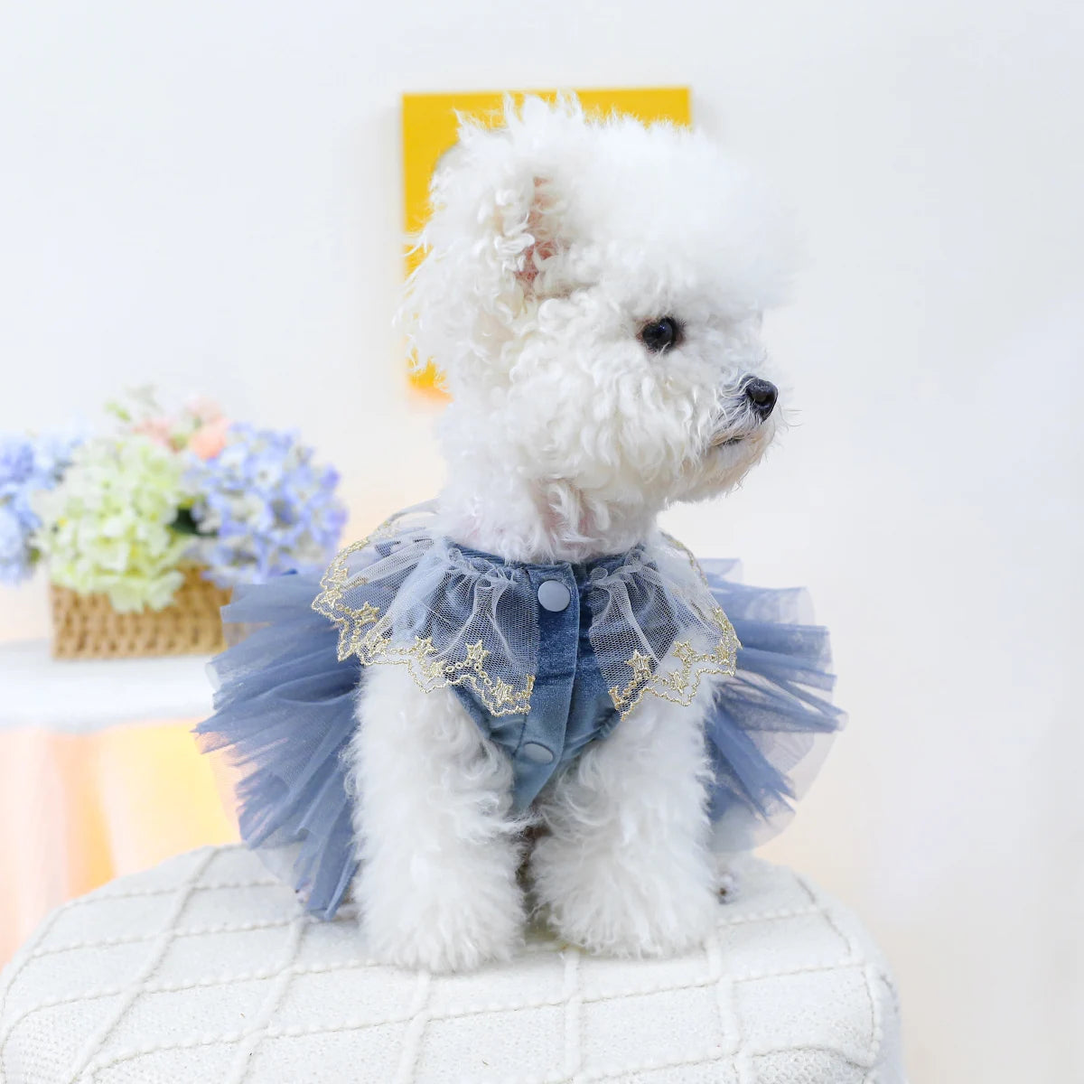 1PC Pet Clothing Spring and Autumn Blue Bow Royal Dress Dress Suitable for Small and Medium sized Dogs