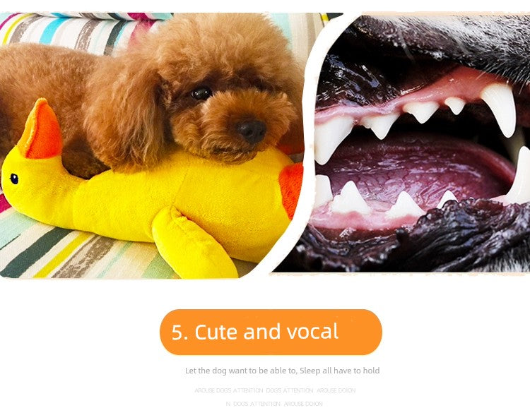 Dog Sound Toy Plush Duck Small and Medium-Sized Dogs Vent Bite-Resistant Molar Pet